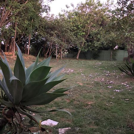 Gerais Loft Appartement São Roque de Minas Buitenkant foto